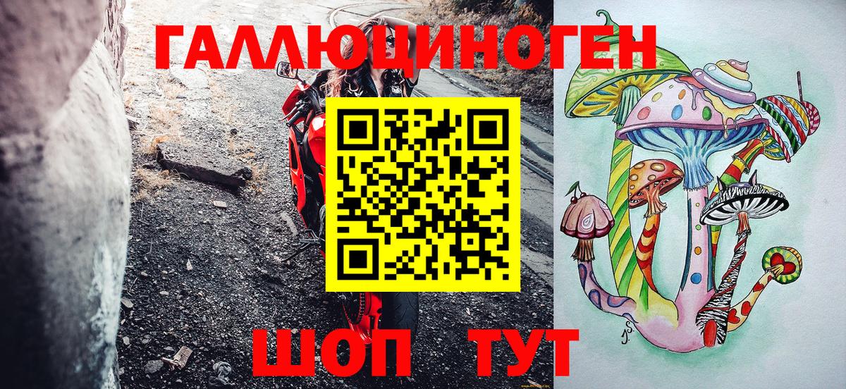 Галлюциногенные грибы Psilocybine cubensis Вязники