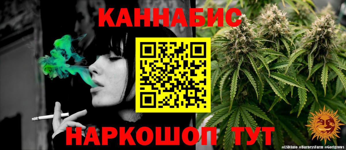 Каннабис планчик Вязники